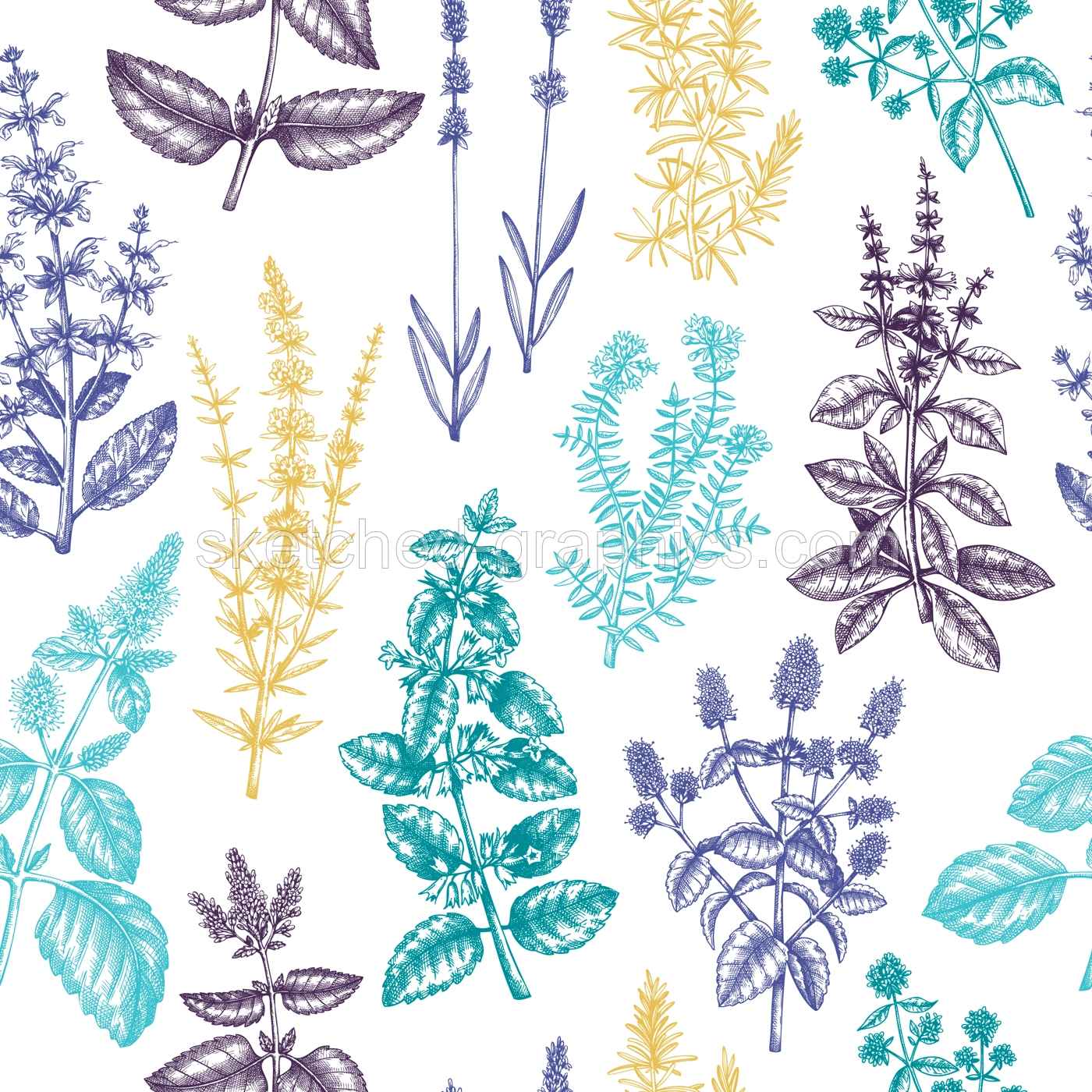 Mints and balms seamless pattern. Hand sketched aromatic and medicinal herbs background. Herbal tea ingredients. Mint plants in vintage style backdrop. For textile, wrapping, packaging. Illustration